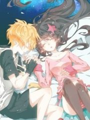 夜来香研究所视频今日上新